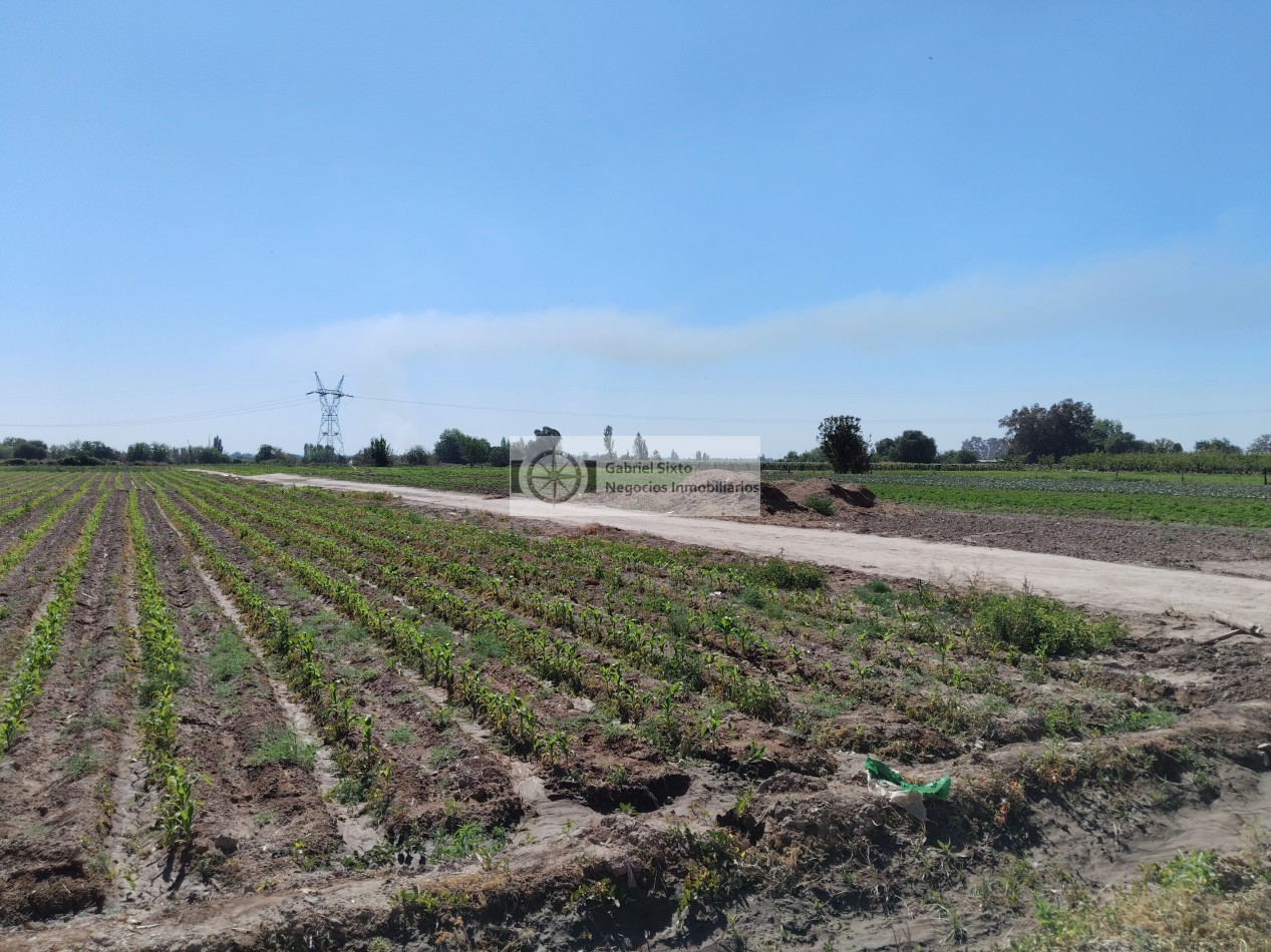 VENTA TERRENO SOBRE CARRIL NACIONAL 3  HA. IDEAL DESARROLLO INMOBILIARIO, GUAYMALLEN 