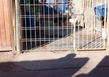 VENTA CASA TODA DE MATERIAL EN MAIPU A MTS DE MAZA DISPONIBLIDAD INMEDIATA 