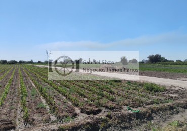 VENTA TERRENO SOBRE CARRIL NACIONAL 3  HA. IDEAL DESARROLLO INMOBILIARIO, GUAYMALLEN 